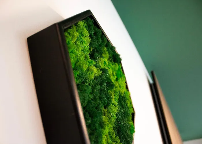 Apartamento Serenity